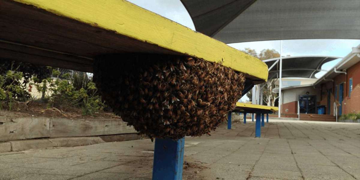 We’re Excited to Serve You at Jim’s Termite & Pest Control Williams Landing