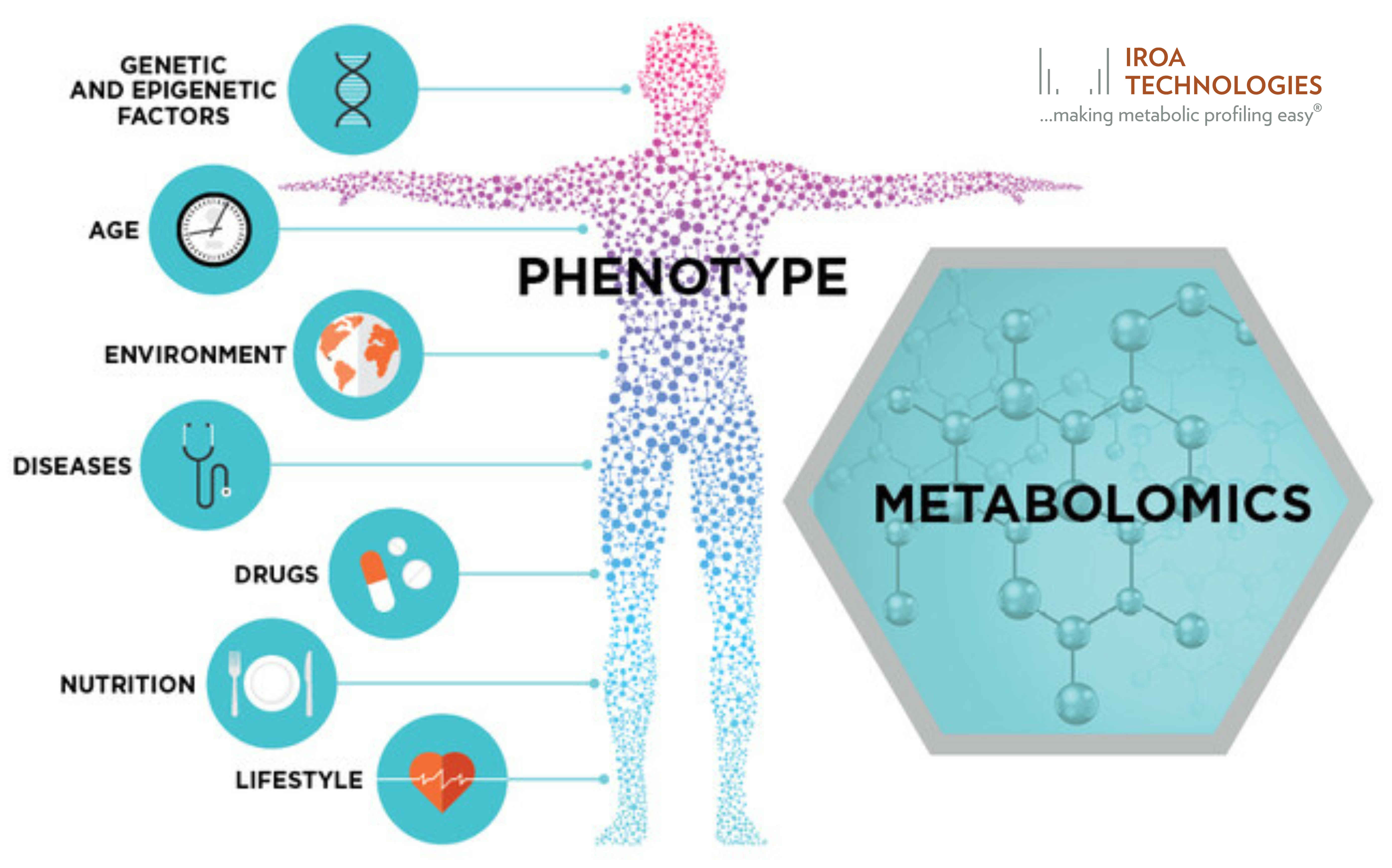 Get An Insight to Know About Metabolomics Standards - The Business Post