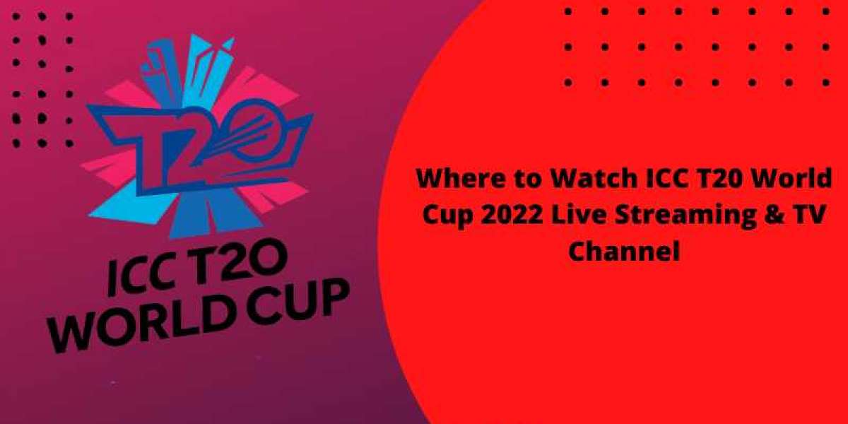 Where to Watch ICC T20 World Cup 2022 Live Streaming & TV Channel  Star Sports is the authorized broadcasting media 