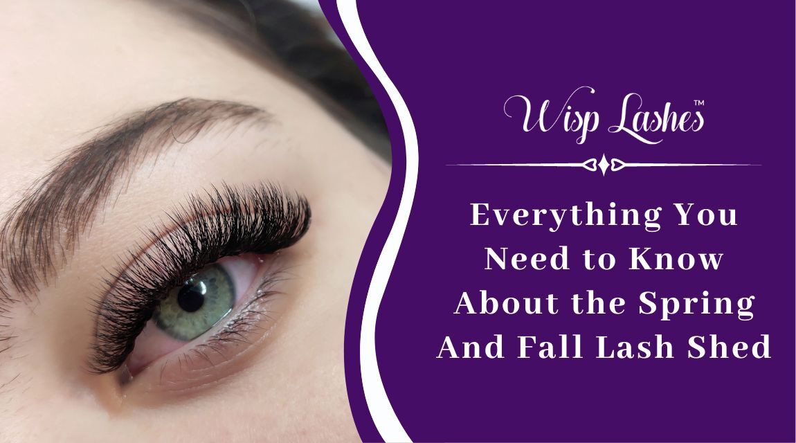 Everything You Need to Know About the Spring And Fall Lash Shed