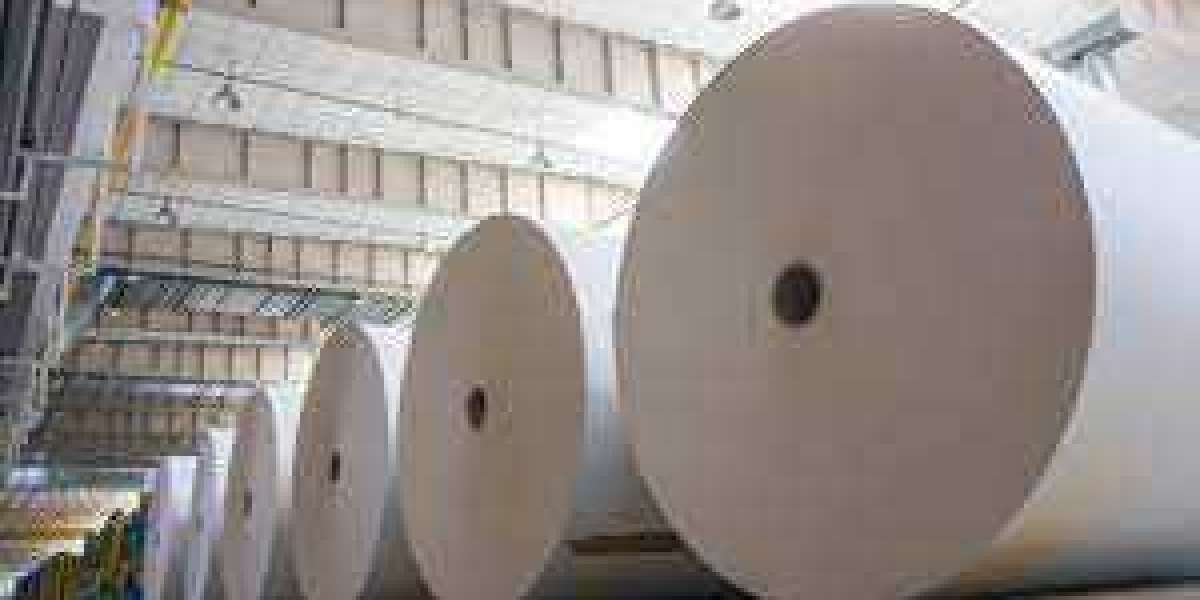 Pulp and Paper Market Revenue and Recent Forecast 2029