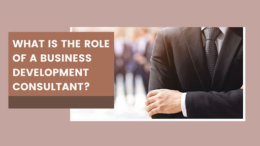 What Is The Role of A Business Development Consultant?