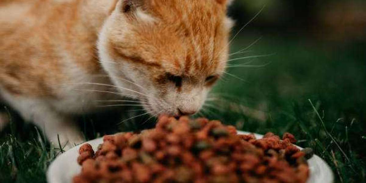Pet Care Products Market Share Information | Analytical Insights 2022-2030