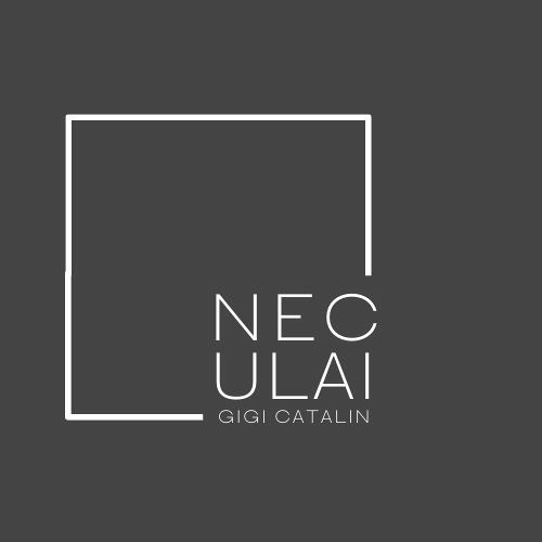 Stream Neculai Gigi Catalin | Listen to podcast episodes online for free on SoundCloud