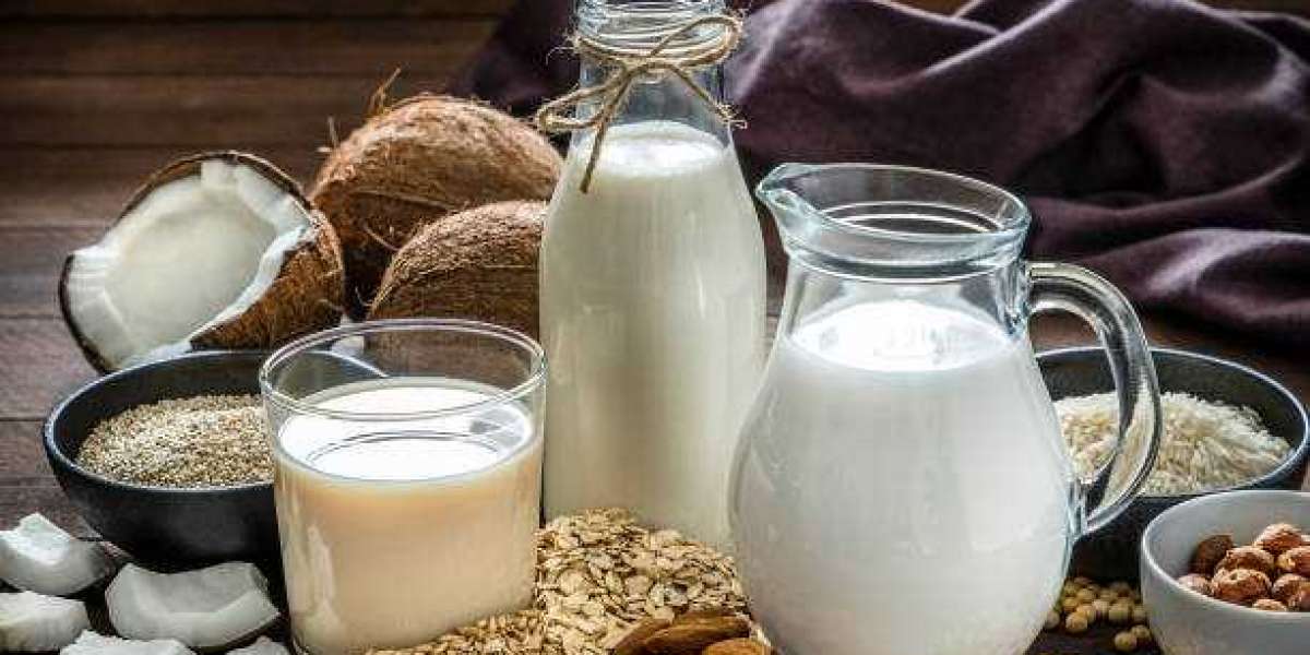 Organic Milk Protein Market Insights: Top Companies, Demand, and Forecast to 2030