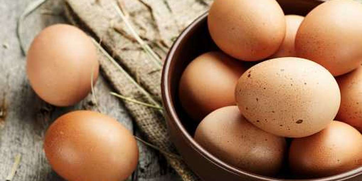 Egg Products Key Market Players, Statistics, Gross Margin, and Forecast 2030