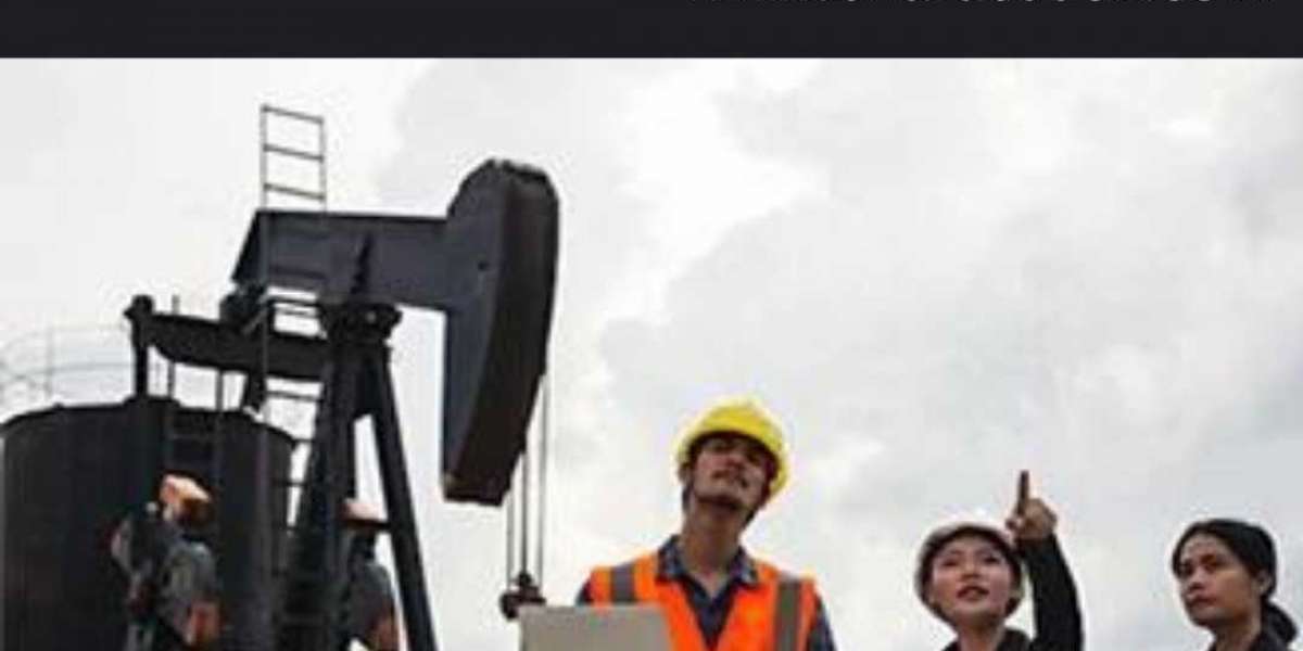 Global Oil and Gas Asset Integrity Management Service Market 2022-2028