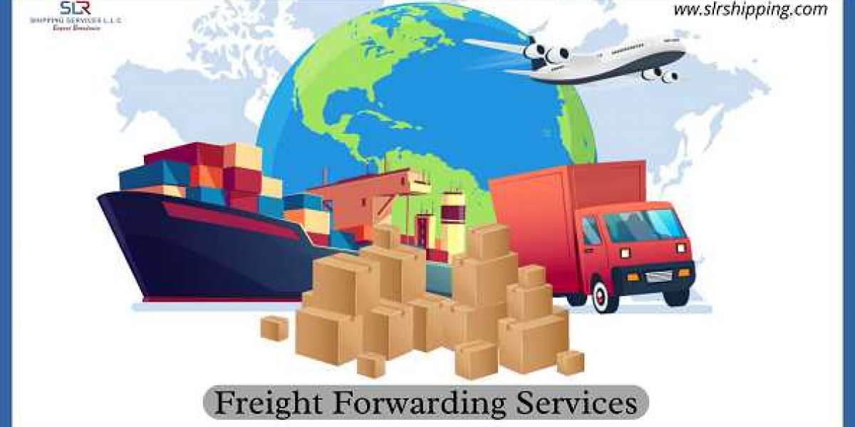 How to Choose the Best Freight Forwarding Service Provider from Dubai to Russia?