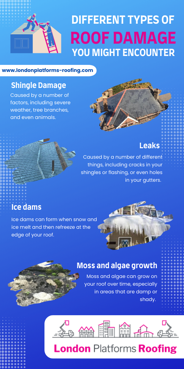 The Different Types of Roof Damage You Might Encounter (and How to Deal With Them) | by London Platforms Roofing | Apr, 2023 | Medium