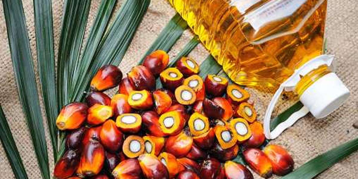 North America & Europe Palm Derivatives Market by Competitor Analysis, Regional Portfolio, and Forecast 2028