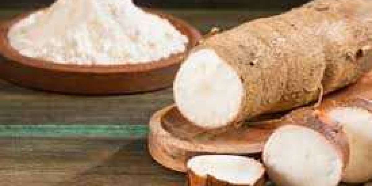 Native Starches Market: Investment, Key Drivers, Gross Margin, and Forecast 2030