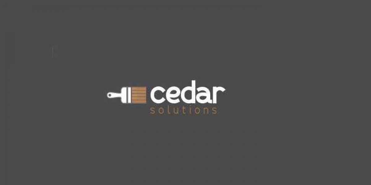 Hire Cedar Solutions and Prolong the Life of Your Timber Investments 