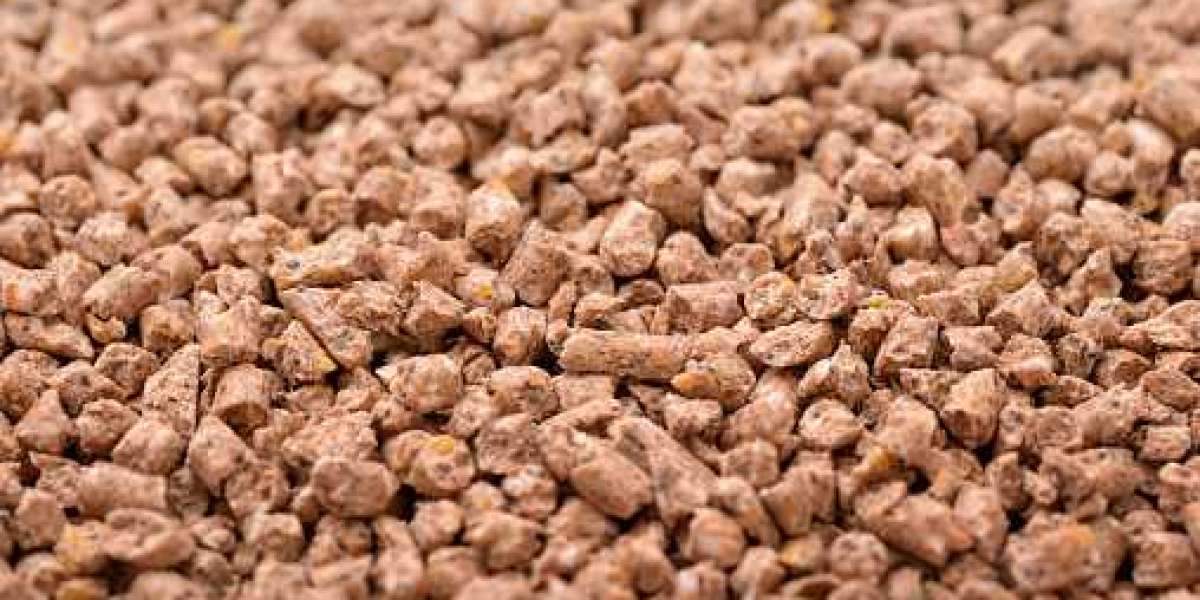 Compound Feed Market Size, Key Players, Statistics, Gross Margin, and Forecast 2030