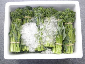 A28 – New 5 Kg box - Styrofoam Boxes | Vegetable Box | Ice boxes - Omega Packaging
