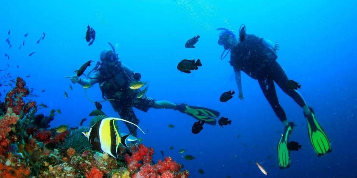 A Guide to Scuba Diving Courses for Beginners