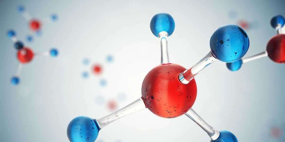 Metabolomics Market 2023 | Industry Size, Trends, Growth and Forecast 2028