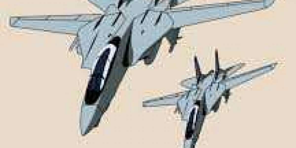 Flying High: The Tomcat Plane's Role in Naval Aviation