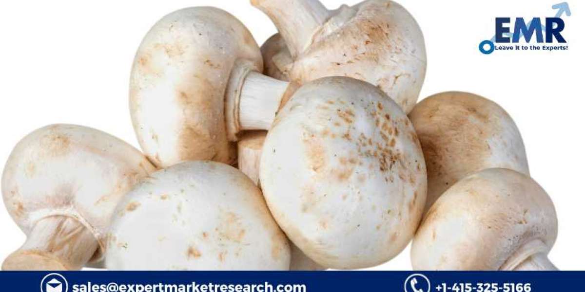 Mushroom Market Size, Share, Report, Growth, Analysis, Price, Trends and Forecast Period 2024-2032