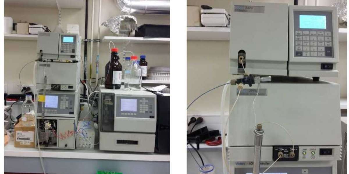 Global High-Performance Liquid Chromatography Market Demand and Future Prospects by 2028