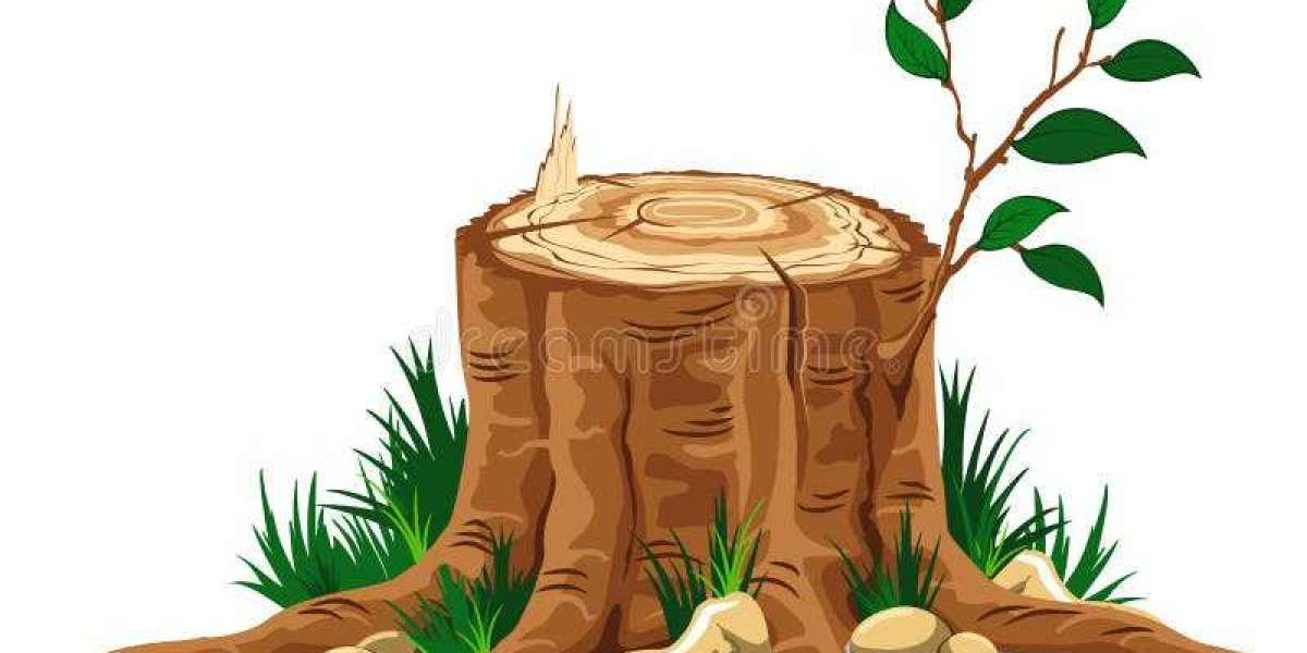 Tree Stump Removal Guide