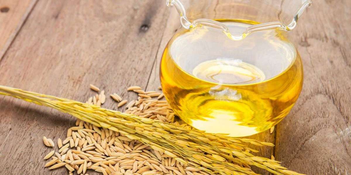 Rice Bran Oil Manufacturing Plant Project Report 2024: Cost Analysis, and Manufacturing Process