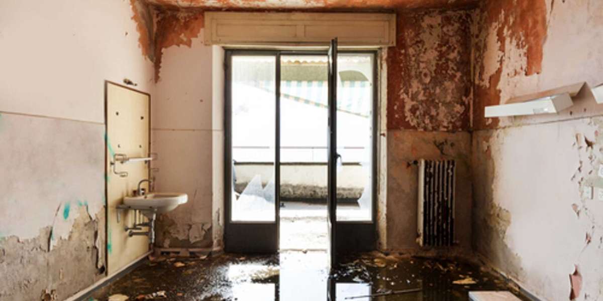 8 Steps To Take After Water Damage In Your House