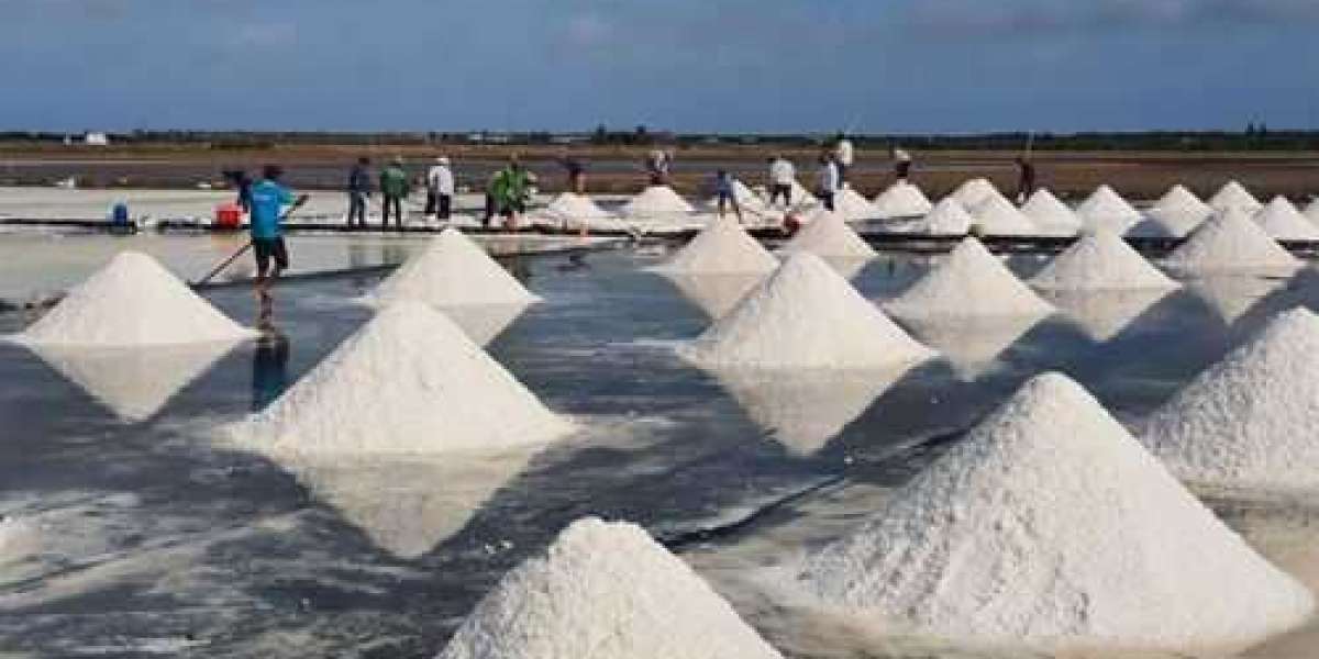 Unlocking the Potential of the Australia Salt Market