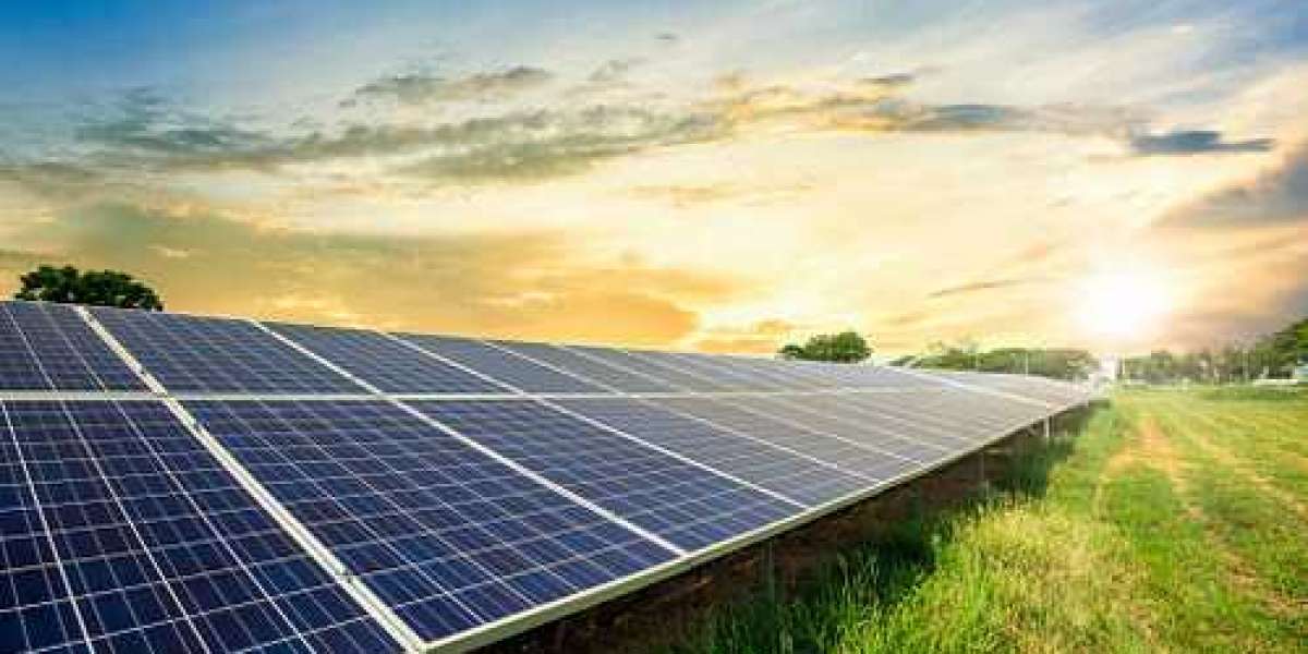 Top 10 Rooftop Solar Companies in India