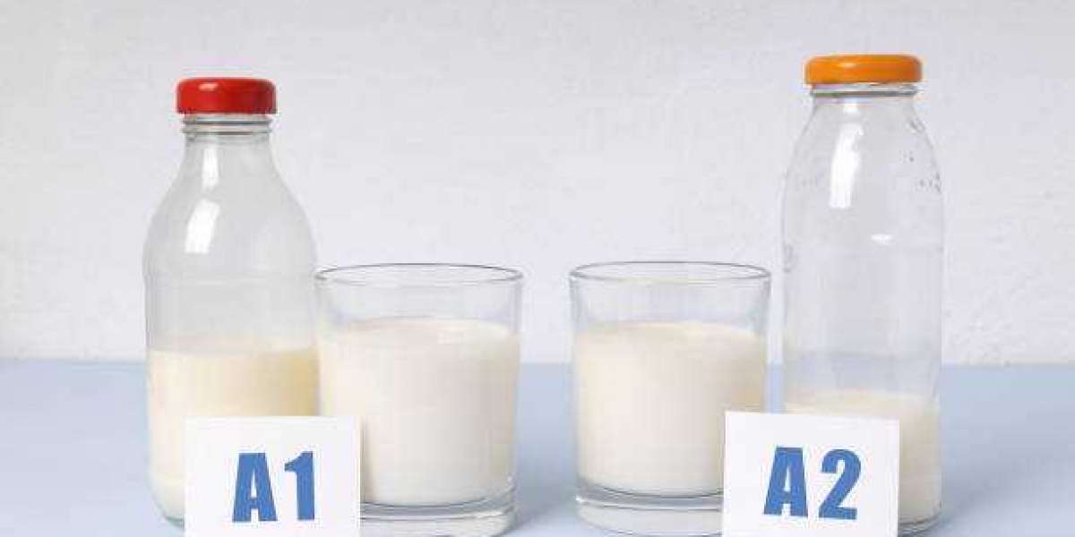 Germany A2 Milk Market Gross Margin by Profit Ratio of Region, and Forecast 2030