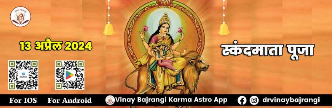 vedic astrology Cover Image