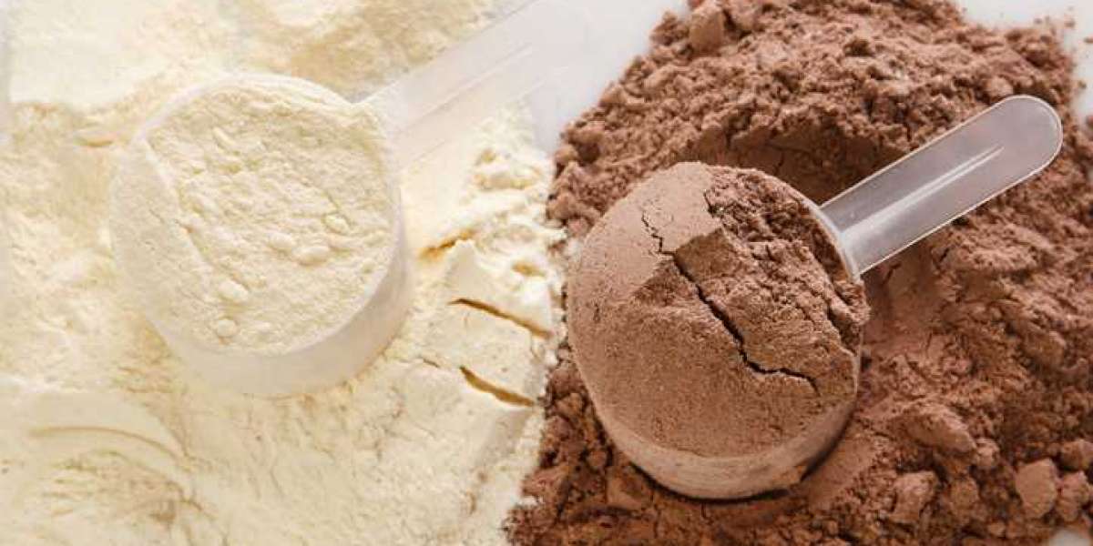 Protein Powder Manufacturing Plant Project Report 2024: Setup Details, Cost and Revenue