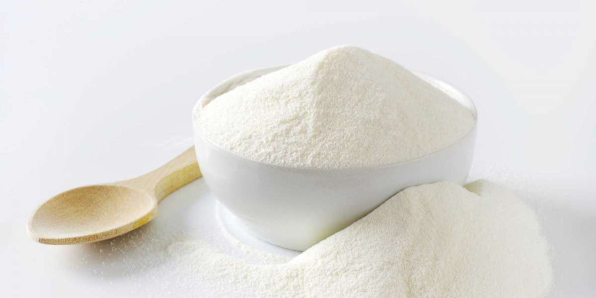 Skimmed Milk Powder Manufacturing Plant Project Report 2024: Raw Materials, Investment Opportunities