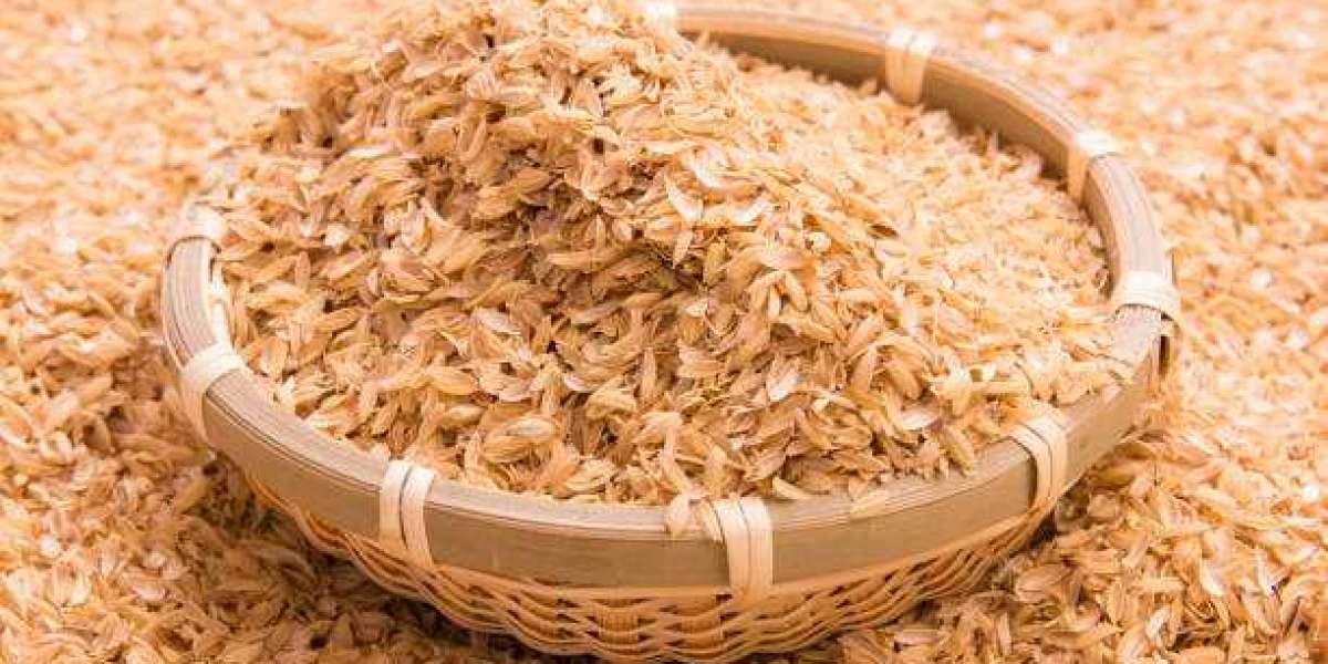 Rice Husk Manufacturing Plant Project Report 2024: Materials Cost, Setup Details and Requirements