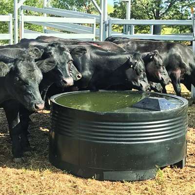 Plastic PVC Water Tanks & Troughs Profile Picture