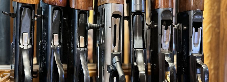 Cameron Gunsmith LLC Cover Image