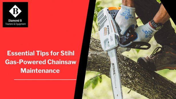 Essential Tips for Stihl Gas-Powered Chainsaw Maintenance  Article - ArticleTed -  News and Articles