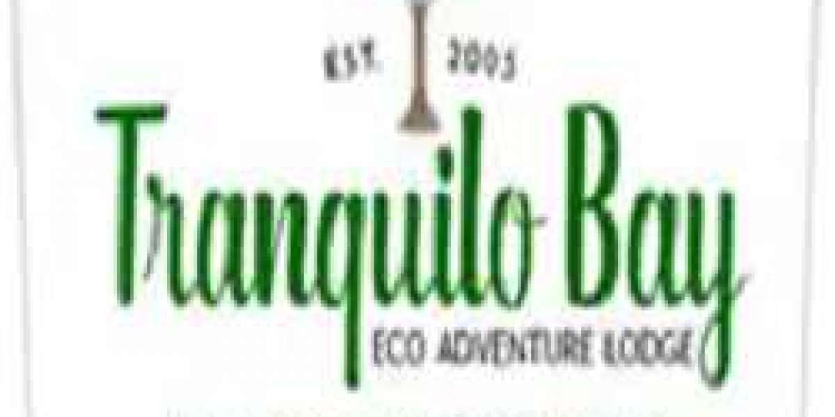 Adventure Bay Accommodation The Perfect Retreat for Nature Lovers