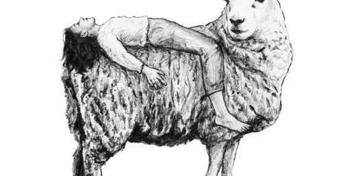 The Importance of Sleep: Boost Health and Performance