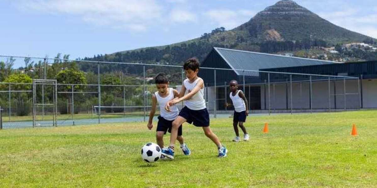 Article Picture