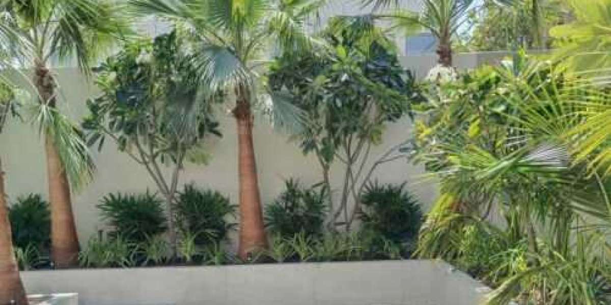 Premier Landscaping Dubai and Pool Installation Services Under One Roof