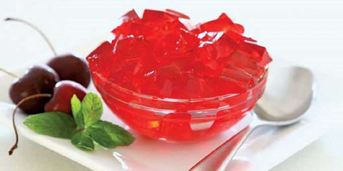 Gelatin Manufacturing Plant Project Report 2025: Setup Cost and Revenue